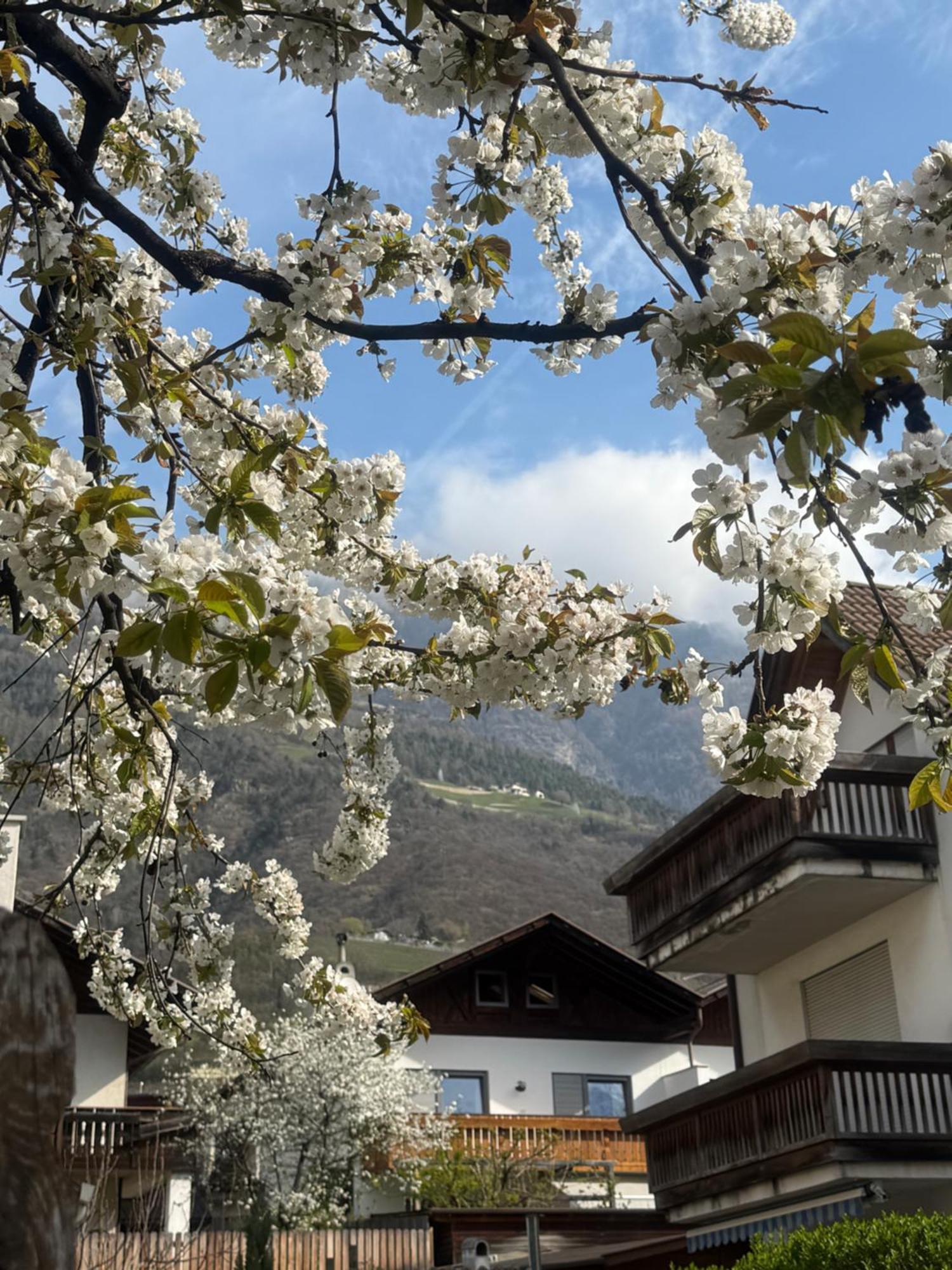 Ferienwohnung Im Zentrum Naturns Ngoại thất bức ảnh